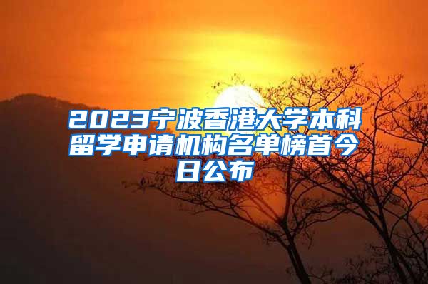 2023宁波香港大学本科留学申请机构名单榜首今日公布