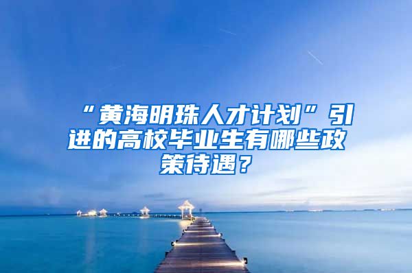 “黄海明珠人才计划”引进的高校毕业生有哪些政策待遇？