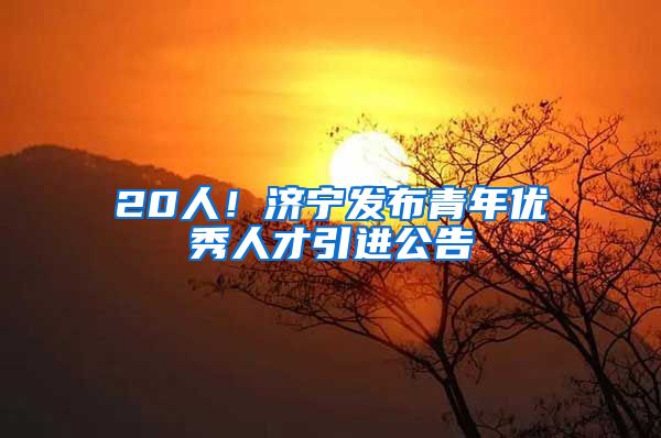 20人！济宁发布青年优秀人才引进公告