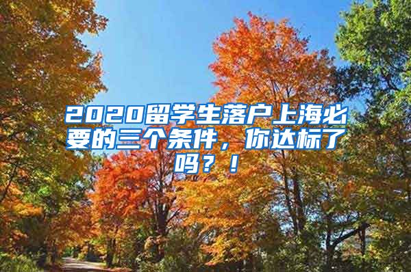 2020留学生落户上海必要的三个条件，你达标了吗？！