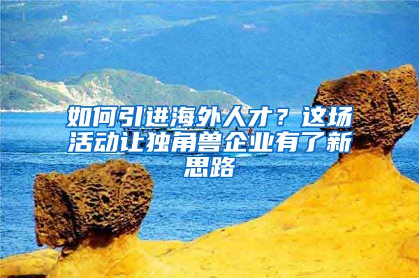 如何引进海外人才？这场活动让独角兽企业有了新思路