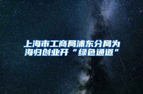 上海市工商局浦东分局为海归创业开“绿色通道”