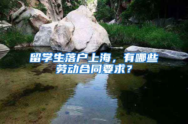 留学生落户上海，有哪些劳动合同要求？