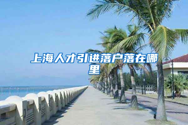 上海人才引进落户落在哪里