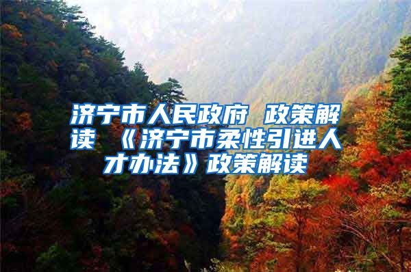 济宁市人民政府 政策解读 《济宁市柔性引进人才办法》政策解读