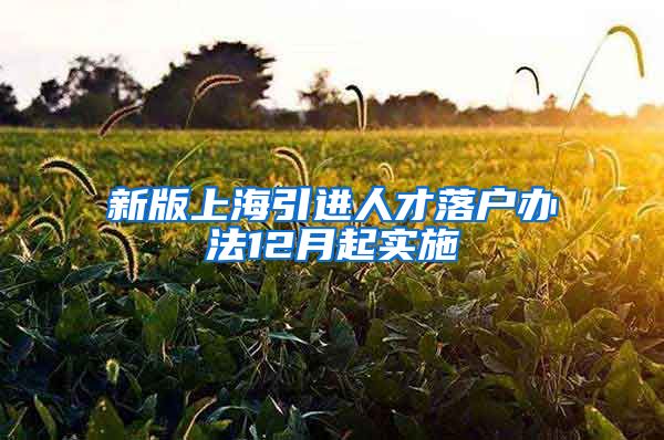 新版上海引进人才落户办法12月起实施