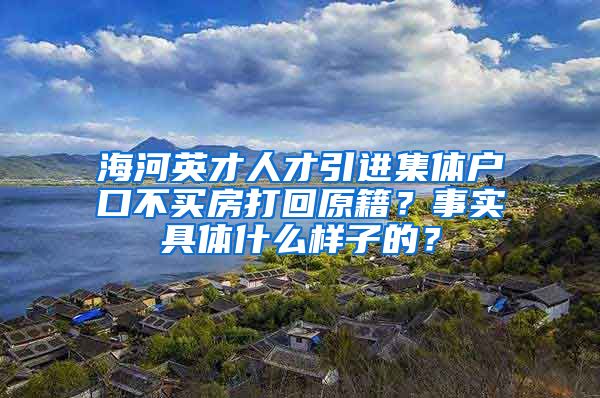 海河英才人才引进集体户口不买房打回原籍？事实具体什么样子的？