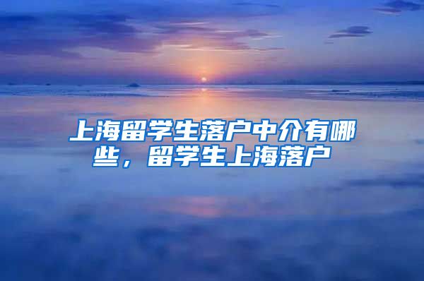 上海留学生落户中介有哪些，留学生上海落户