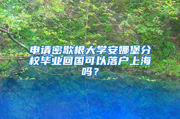 申请密歇根大学安娜堡分校毕业回国可以落户上海吗？