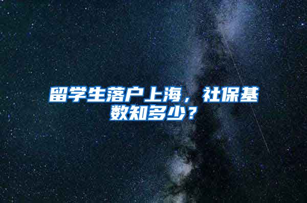 留学生落户上海，社保基数知多少？