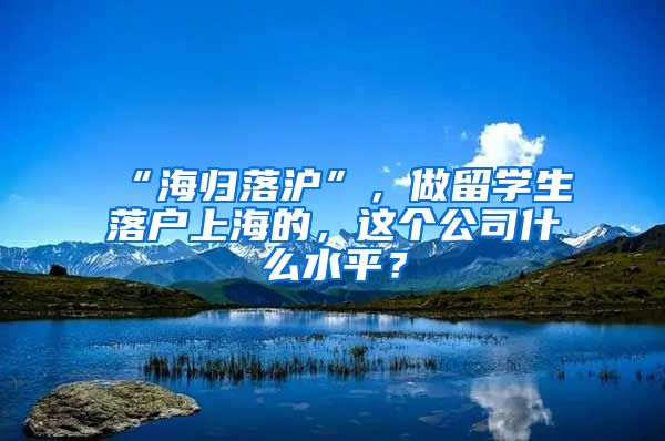 “海归落沪”，做留学生落户上海的，这个公司什么水平？