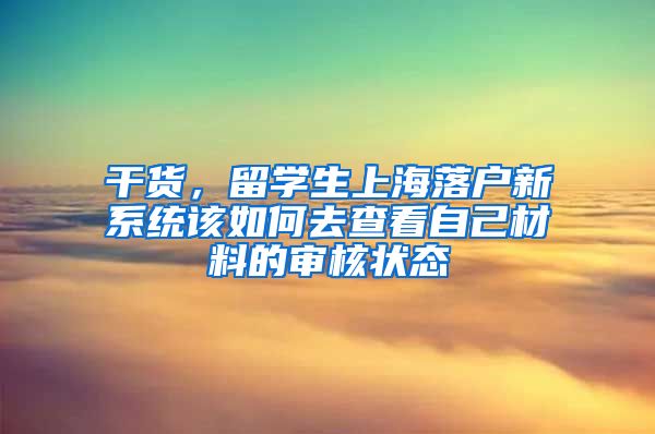 干货，留学生上海落户新系统该如何去查看自己材料的审核状态