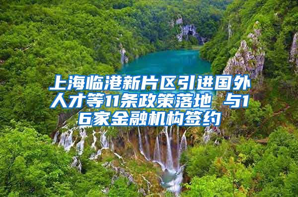 上海临港新片区引进国外人才等11条政策落地 与16家金融机构签约