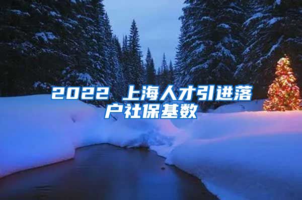 2022 上海人才引进落户社保基数