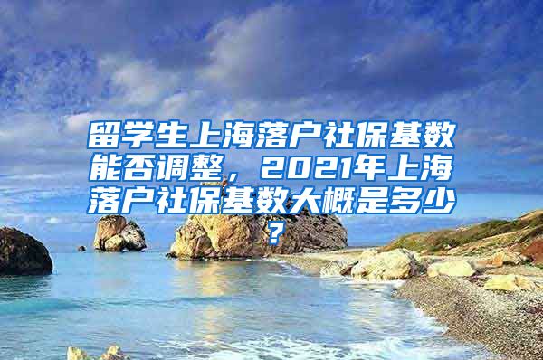 留学生上海落户社保基数能否调整，2021年上海落户社保基数大概是多少？