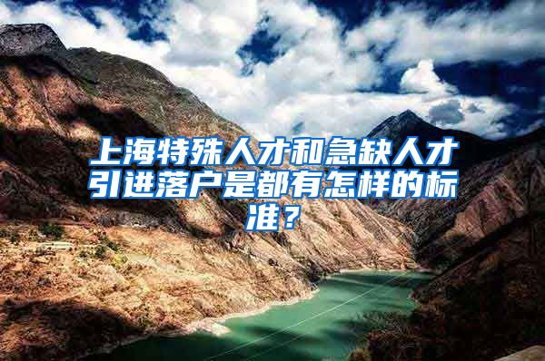 上海特殊人才和急缺人才引进落户是都有怎样的标准？