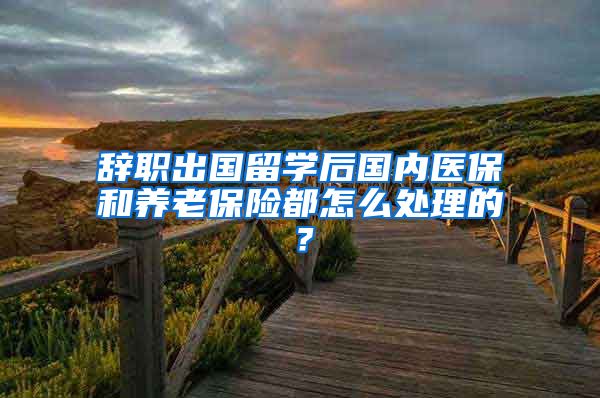 辞职出国留学后国内医保和养老保险都怎么处理的？