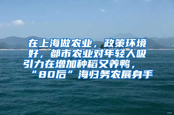 在上海做农业，政策环境好，都市农业对年轻人吸引力在增加种稻又养鸭，“80后”海归务农展身手