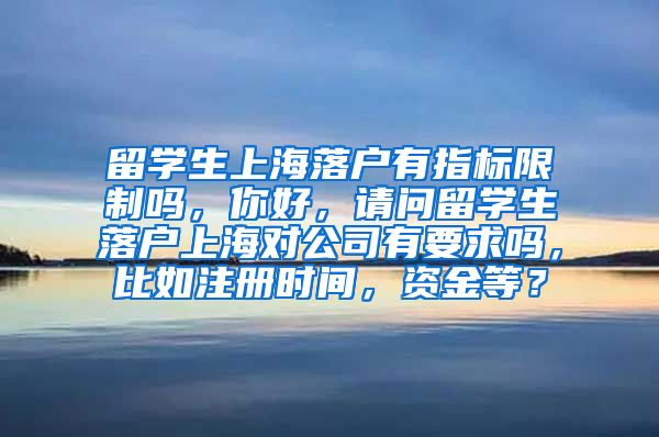 留学生上海落户有指标限制吗，你好，请问留学生落户上海对公司有要求吗，比如注册时间，资金等？