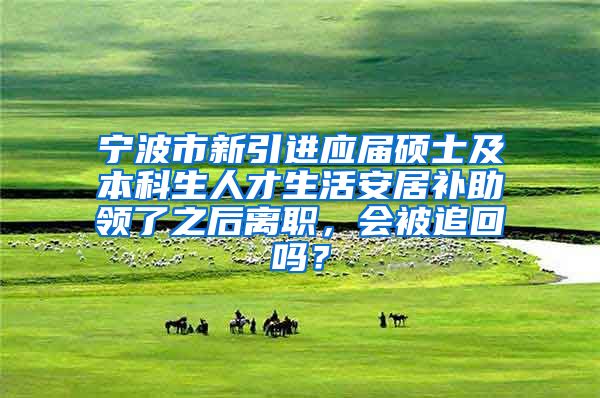 宁波市新引进应届硕士及本科生人才生活安居补助领了之后离职，会被追回吗？