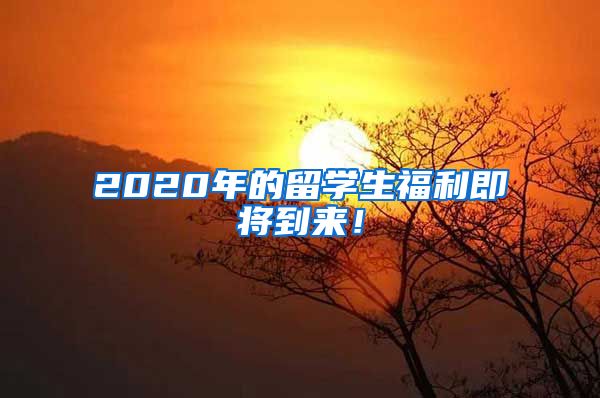 2020年的留学生福利即将到来！