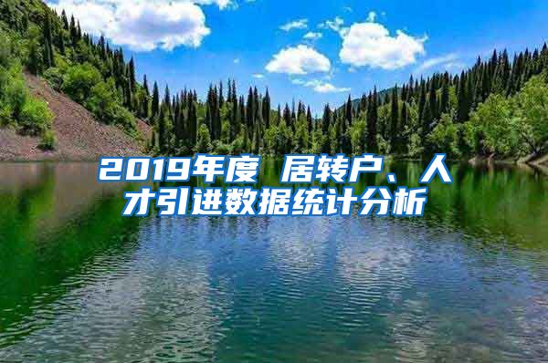 2019年度 居转户、人才引进数据统计分析