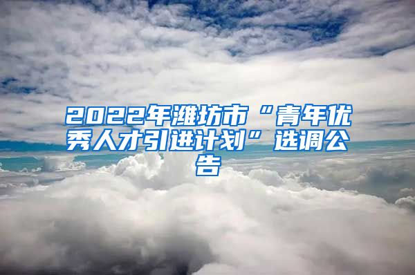 2022年潍坊市“青年优秀人才引进计划”选调公告