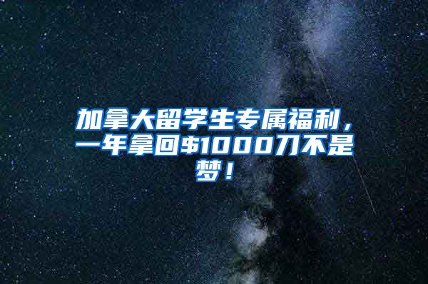 加拿大留学生专属福利，一年拿回$1000刀不是梦！