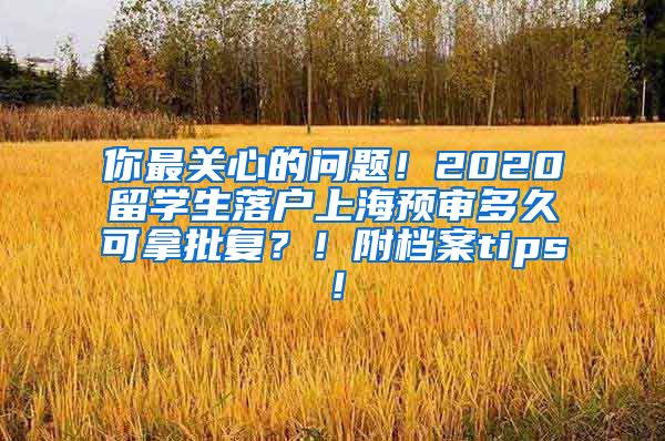 你最关心的问题！2020留学生落户上海预审多久可拿批复？！附档案tips！