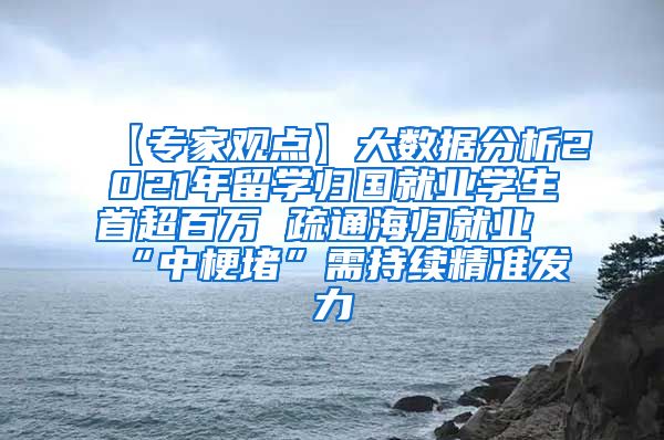 【专家观点】大数据分析2021年留学归国就业学生首超百万 疏通海归就业“中梗堵”需持续精准发力