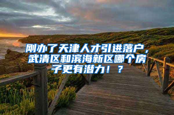 刚办了天津人才引进落户，武清区和滨海新区哪个房子更有潜力！？