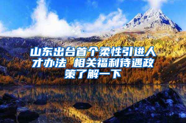 山东出台首个柔性引进人才办法 相关福利待遇政策了解一下