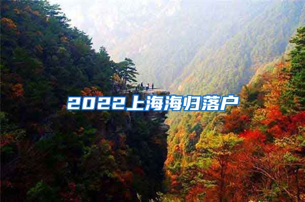 2022上海海归落户