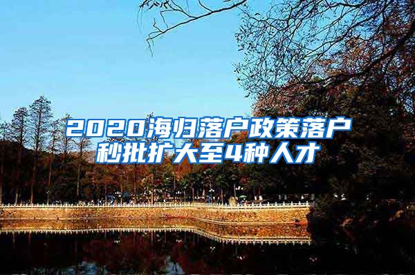 2020海归落户政策落户秒批扩大至4种人才