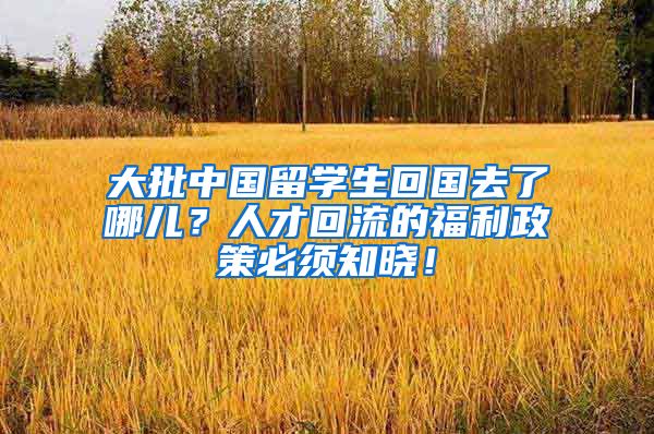 大批中国留学生回国去了哪儿？人才回流的福利政策必须知晓！