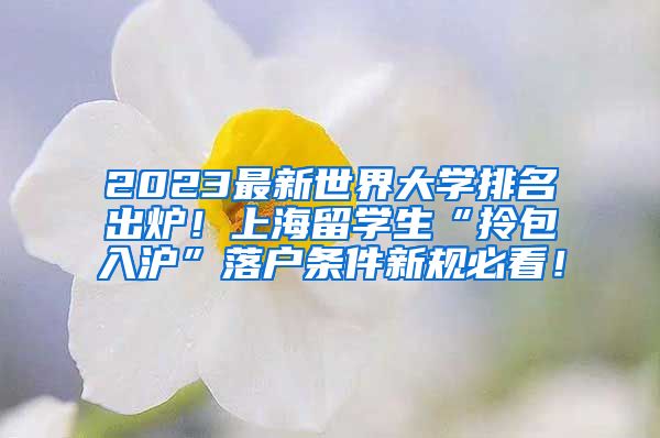 2023最新世界大学排名出炉！上海留学生“拎包入沪”落户条件新规必看！