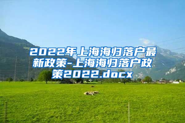 2022年上海海归落户最新政策-上海海归落户政策2022.docx