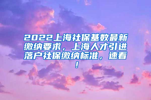 2022上海社保基数最新缴纳要求，上海人才引进落户社保缴纳标准，速看！