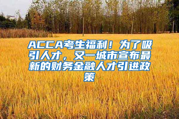 ACCA考生福利！为了吸引人才，又一城市宣布最新的财务金融人才引进政策