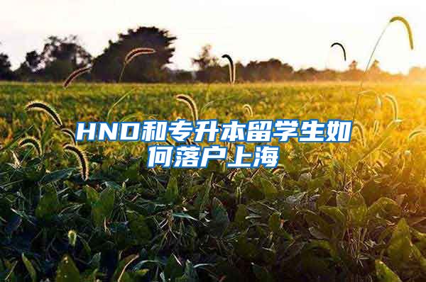 HND和专升本留学生如何落户上海