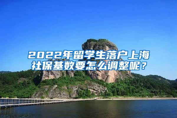 2022年留学生落户上海社保基数要怎么调整呢？