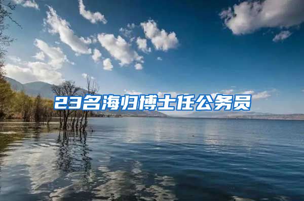 23名海归博士任公务员