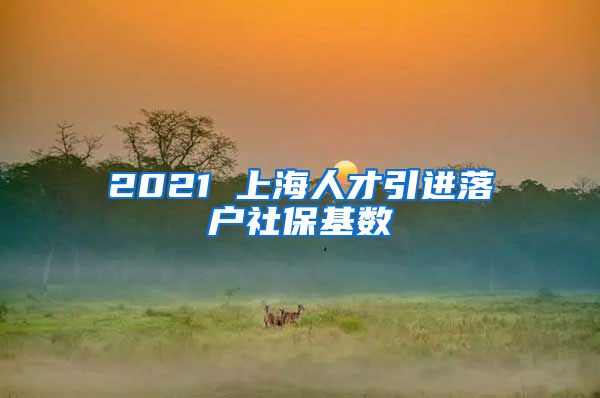 2021 上海人才引进落户社保基数