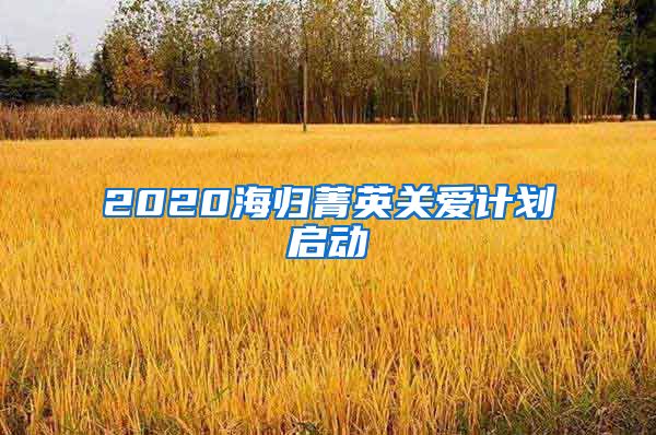 2020海归菁英关爱计划启动