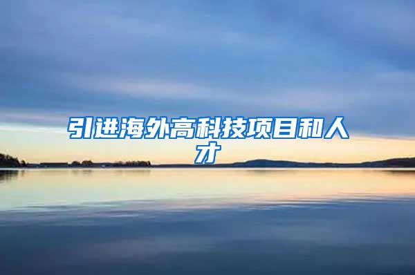 引进海外高科技项目和人才