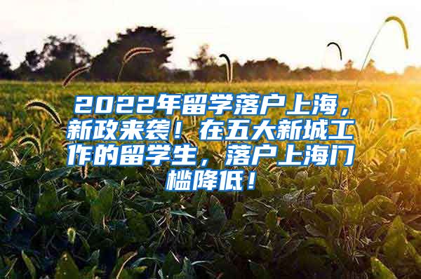 2022年留学落户上海，新政来袭！在五大新城工作的留学生，落户上海门槛降低！