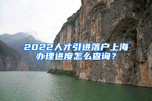 2022人才引进落户上海办理进度怎么查询？