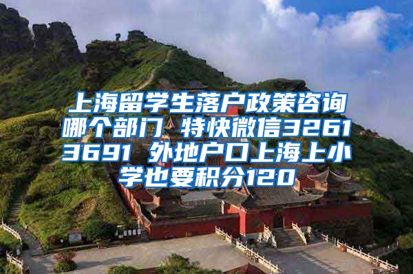 上海留学生落户政策咨询哪个部门 特快微信32613691 外地户口上海上小学也要积分120