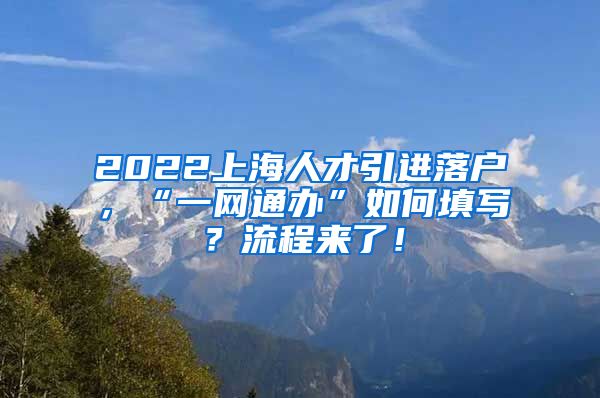 2022上海人才引进落户，“一网通办”如何填写？流程来了！