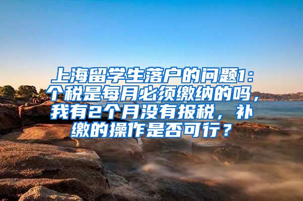 上海留学生落户的问题1：个税是每月必须缴纳的吗，我有2个月没有报税，补缴的操作是否可行？